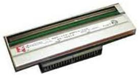 ZEBPRI844