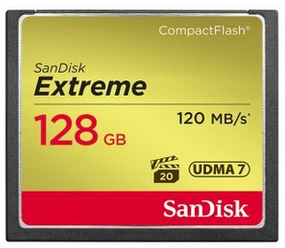 SANMEM221