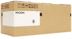 RICPRI333