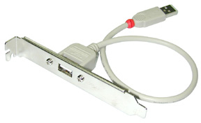 LINCTL117