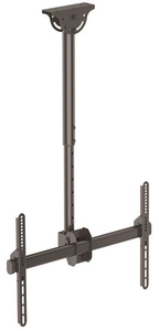 STAMON491