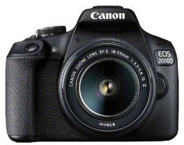 CANIMG31X