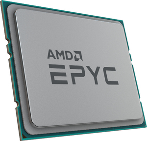 AMDCPU831