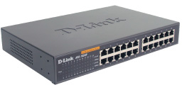 DLINET317
